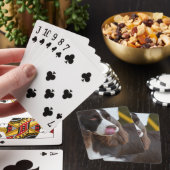 Entzückender Springer Spanial Spielkarten (In Situ)