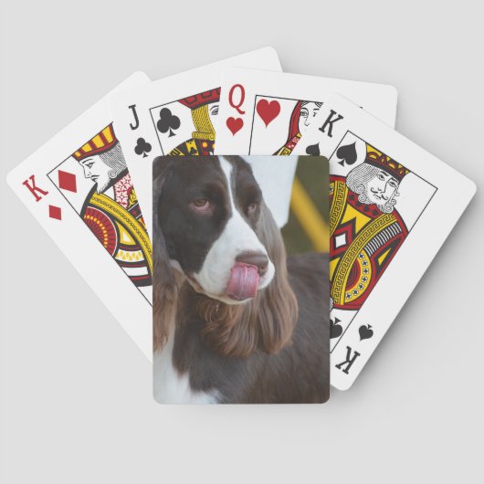 Entzückender Springer Spanial Spielkarten (Rückseite)