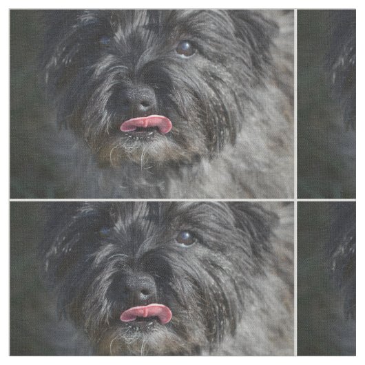 Entzückender Steinhaufen Terrier Stoff (Nahaufnahme)
