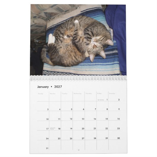 Entzückender Tierkalender Kalender (Jan 2027)
