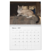 Entzückender Tierkalender Kalender (Feb 2027)