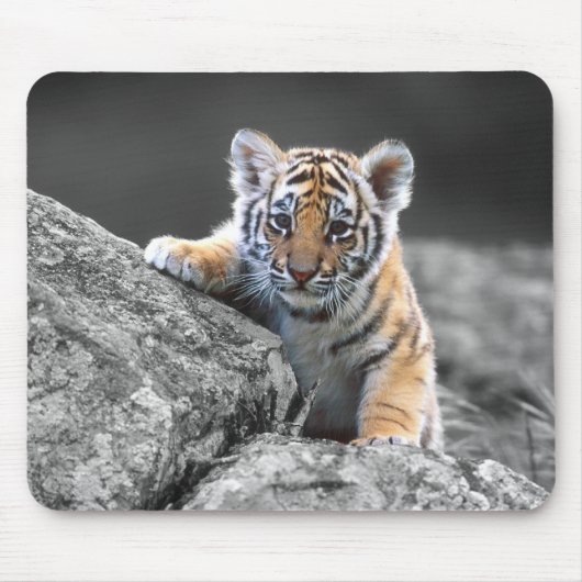 Entzückender Tiger CUB Mousepad (Vorne)