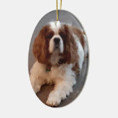 Entzückender unbekümmerter Königcharles Spaniel Keramik Ornament (Links)
