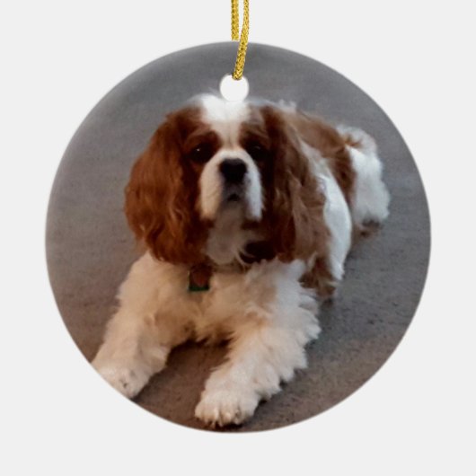 Entzückender unbekümmerter Königcharles Spaniel Keramikornament (Vorne)