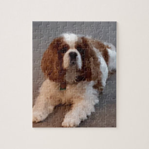 Entzückender unbekümmerter Königcharles Spaniel Puzzle