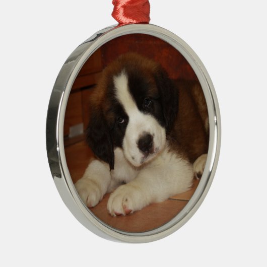 Entzückender und süßer Bernhardiner-Welpe Silbernes Ornament (Rechts)