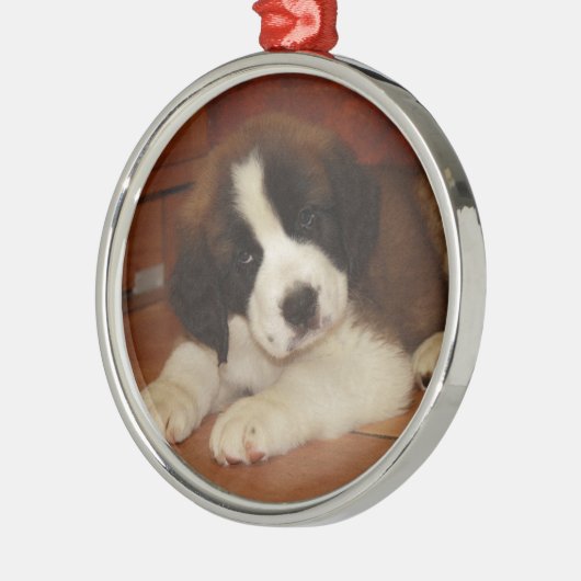 Entzückender und süßer Bernhardiner-Welpe Silbernes Ornament (Links)