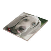 Entzückender weimaraner Welpe Fliese (Seite)