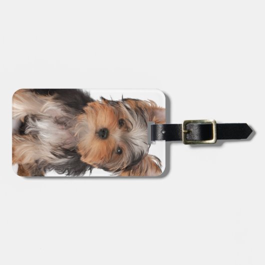 Entzückender Welpe Gepäckanhänger (Vorderseite horizontal)