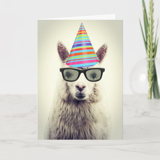 Alpaka Geburtstagskarten Zazzle.de