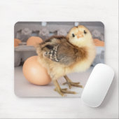Entzückendes Baby-Huhn und frischer Ei-Karton Mousepad (Mit Mouse)