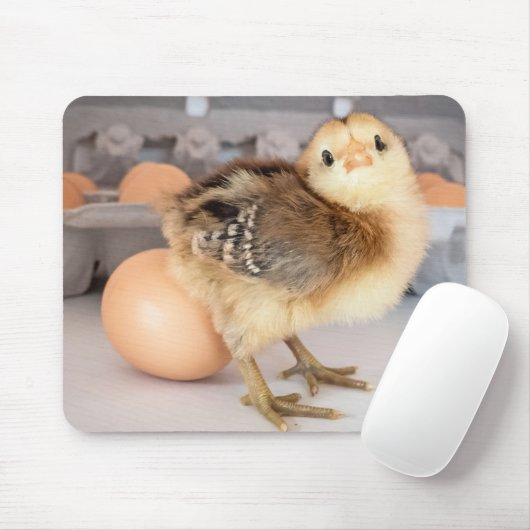 Entzückendes Baby-Huhn und frischer Ei-Karton Mousepad (Mit Mouse)