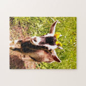 Entzückendes Baby-Ziegen-Puzzlespiel Puzzle (Horizontal)