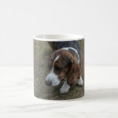 Entzückendes Basset Hound Kaffeetasse (Mittel)
