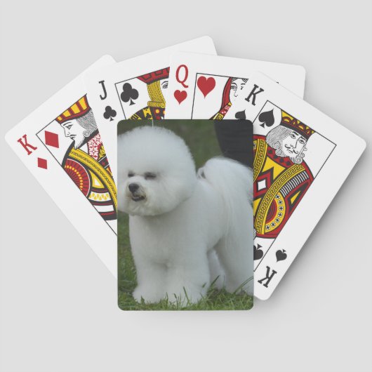 Entzückendes Bichon Spielkarten (Rückseite)