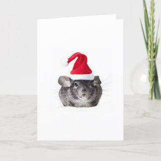 Entzückendes Chinchilla-Sankt-Modell Feiertagskarte