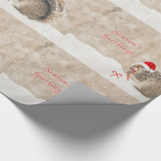 Entzückendes Eichhörnchen in der Geschenkpapier (Ecke)