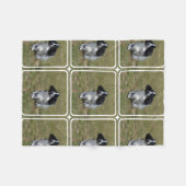 Entzückendes Englisch Cocker spaniel Fleecedecke (Vorderseite (Horizontal))