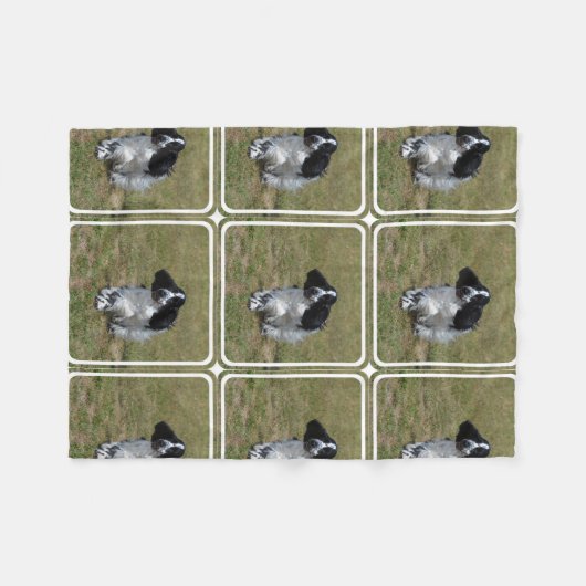 Entzückendes Englisch Cocker spaniel Fleecedecke (Vorderseite (Horizontal))