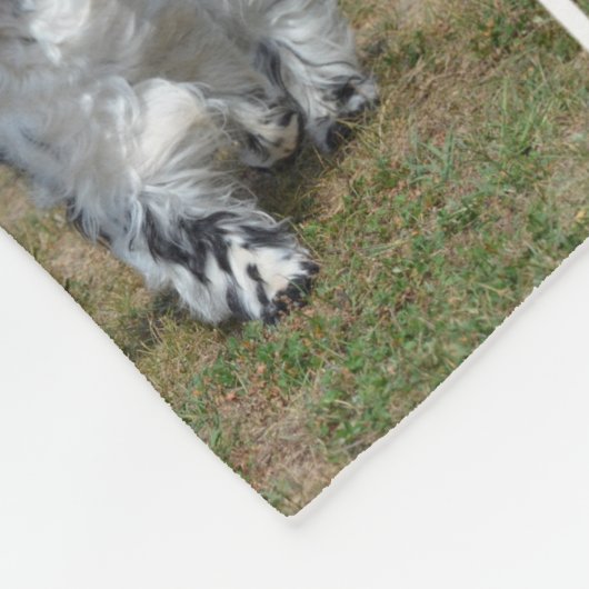 Entzückendes Englisch Cocker spaniel Fleecedecke (Ecke)