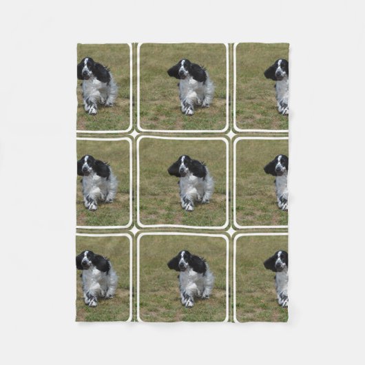 Entzückendes Englisch Cocker spaniel Fleecedecke (Vorderseite)