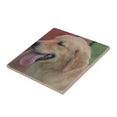 Entzückendes golden retriever fliese (Seite)