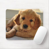 Entzückendes golden retriever-Hündchen Mousepad (Mit Mouse)