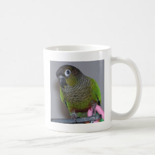 Entzückendes Greencheek Conure Kaffeetasse