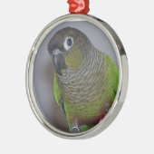 Entzückendes Greencheek Conure Silbernes Ornament (Links)