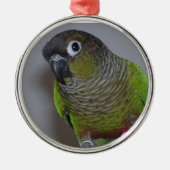 Entzückendes Greencheek Conure Silbernes Ornament (Vorne)