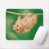 Entzückendes Hamster mousepad (Mit Mouse)