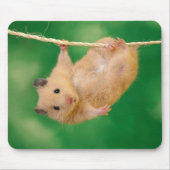 Entzückendes Hamster mousepad (Vorne)