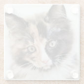 Entzückendes Kaliko-Kätzchen Glasuntersetzer (Rückseite)