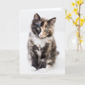Entzückendes Kaliko-Kätzchen Karte (Gelbe Blume)