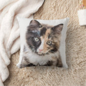 Entzückendes Kaliko-Kätzchen Kissen (Decke)