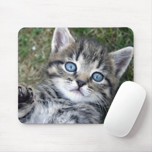 Entzückendes mit blauen Augen silbernes Mousepad (Mit Mouse)