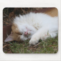 entzückendes Schlafenkatze mousepad