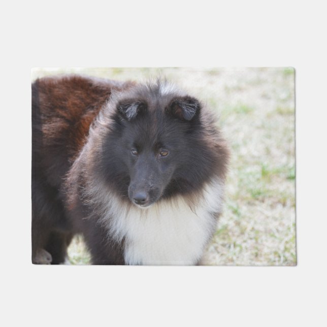 Entzückendes Sheltie Fußmatte (Vorderseite)