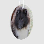 Entzückendes Sheltie Ornament (Vorderseite)