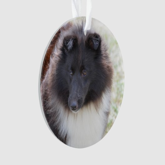 Entzückendes Sheltie Ornament (Vorderseite)