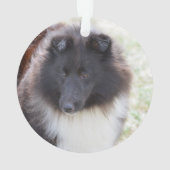 Entzückendes Sheltie Ornament (Rückseite)