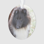Entzückendes Sheltie Ornament (Vorderseite)