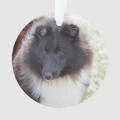 Entzückendes Sheltie Ornament (Vorderseite)