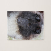 Entzückendes Sheltie Puzzle (Horizontal)