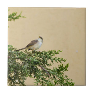 Entzückendes Spatzen-Vogel-Foto Fliese