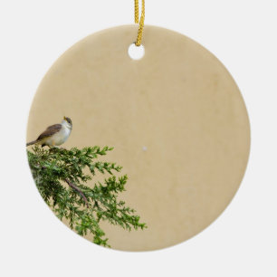 Entzückendes Spatzen-Vogel-Foto Keramik Ornament
