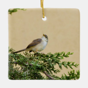 Entzückendes Spatzen-Vogel-Foto Keramikornament