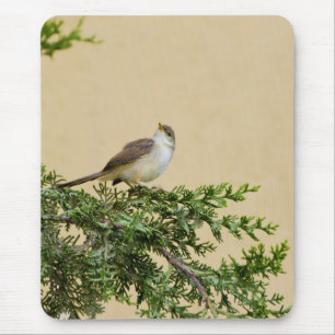 Entzückendes Spatzen-Vogel-Foto Mousepad