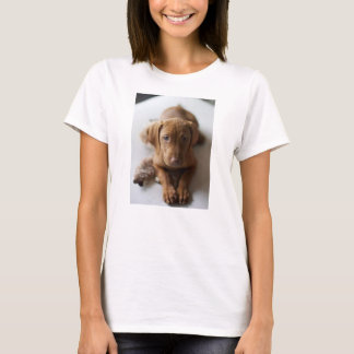 Entzückendes Vizsla Hündchen - Vizsla T-Shirt