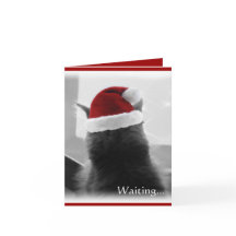 Entzückendes Weihnachtskätzchen